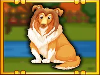 Bernese Mountain Dog Escape image