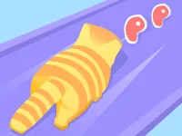 Cat Evolution image