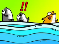 Fish Jam image