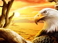 Eagle Slide image